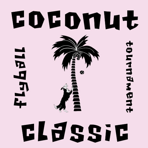 Coconut Classic Flyball Tournament